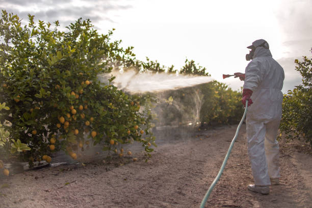 Best Affordable Pest Control Services  in Tremont, IL