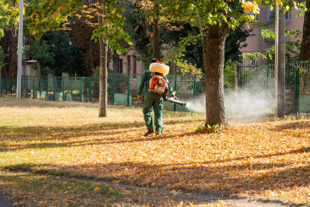 Best Flea Control Services  in Tremont, IL