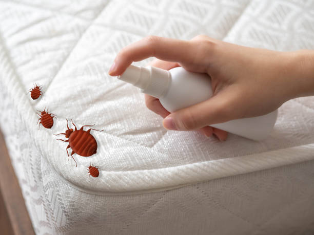 Best Commercial Pest Control Services  in Tremont, IL